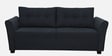 Tochi Fabric 3 Seater Sofa In Grey Colour