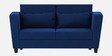 Tokyo Fabric 2 Seater Sofa in Royal Blue Colour