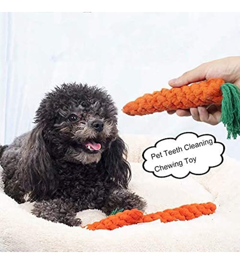 Are Carrots Good For Teething Puppies