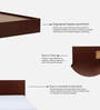 Tokyo Queen Size Bed In Sapele & Rustic Gold Colour