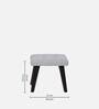 Toledo Velvet Full Back Lounge Chair In Ash Grey Colour With Foot Stool