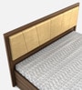 Tomoko Upholstered Queen Size Bed in Walnut Finish with Hydraulic Storage
