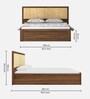 Tomoko Upholstered Queen Size Bed in Walnut Finish with Hydraulic Storage