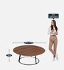 Tono Coffee Table In Walnut & Black Finish