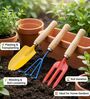 Set Of 3 Tools Artisan Plant Care Kit