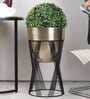 Topha Gold & Black Metal Planter