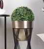 Topha Gold & Black Metal Planter