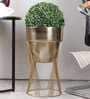 Topha Gold Metal Planter (Bgold)