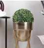Topha Gold Metal Planter (Bgold)