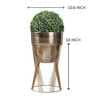 Topha Gold Metal Planter (Bgold)