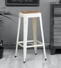 Tosh Bar Stool in White Colour