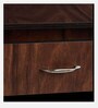 Tower Shoe Cabinet in Brown Teak Finish