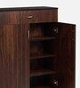 Tower Shoe Cabinet in Brown Teak Finish