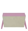 Toy Tub Birch Wood Cabinet with Lid in Pink