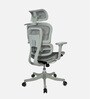 Toya High Back Ergonomic Chair with 3D Armrests, Adjustable Headrest and Automatic tilt Feature
