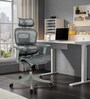 Toya High Back Ergonomic Chair with 3D Armrests, Adjustable Headrest and Automatic tilt Feature