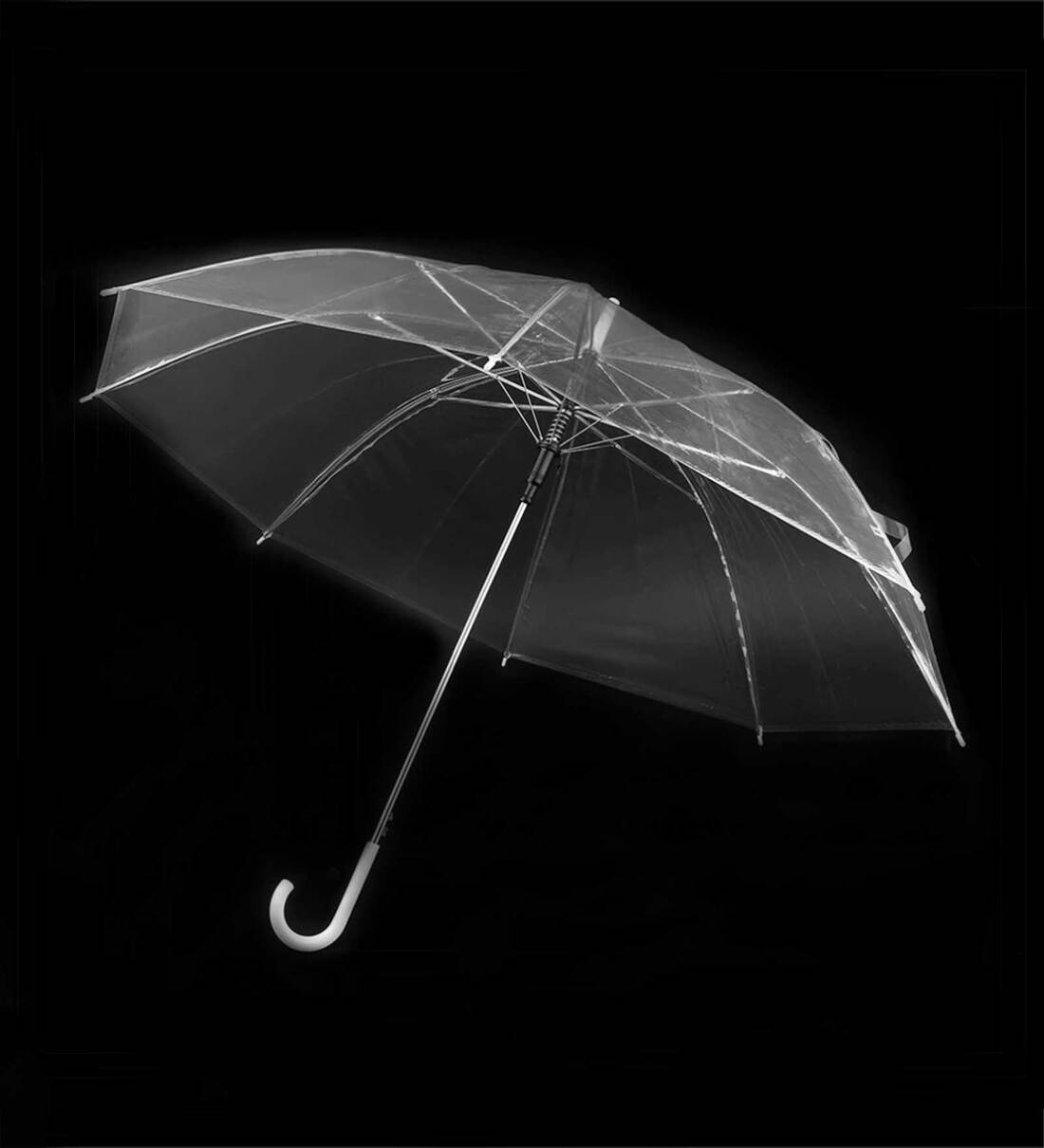 Buy Transparent Top Umbrella by Classic at 27 OFF by Classic Pepperfry