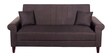 Trinity 3 Seater Sofa in Brown Colour
