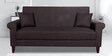 Trinity 3 Seater Sofa in Brown Colour
