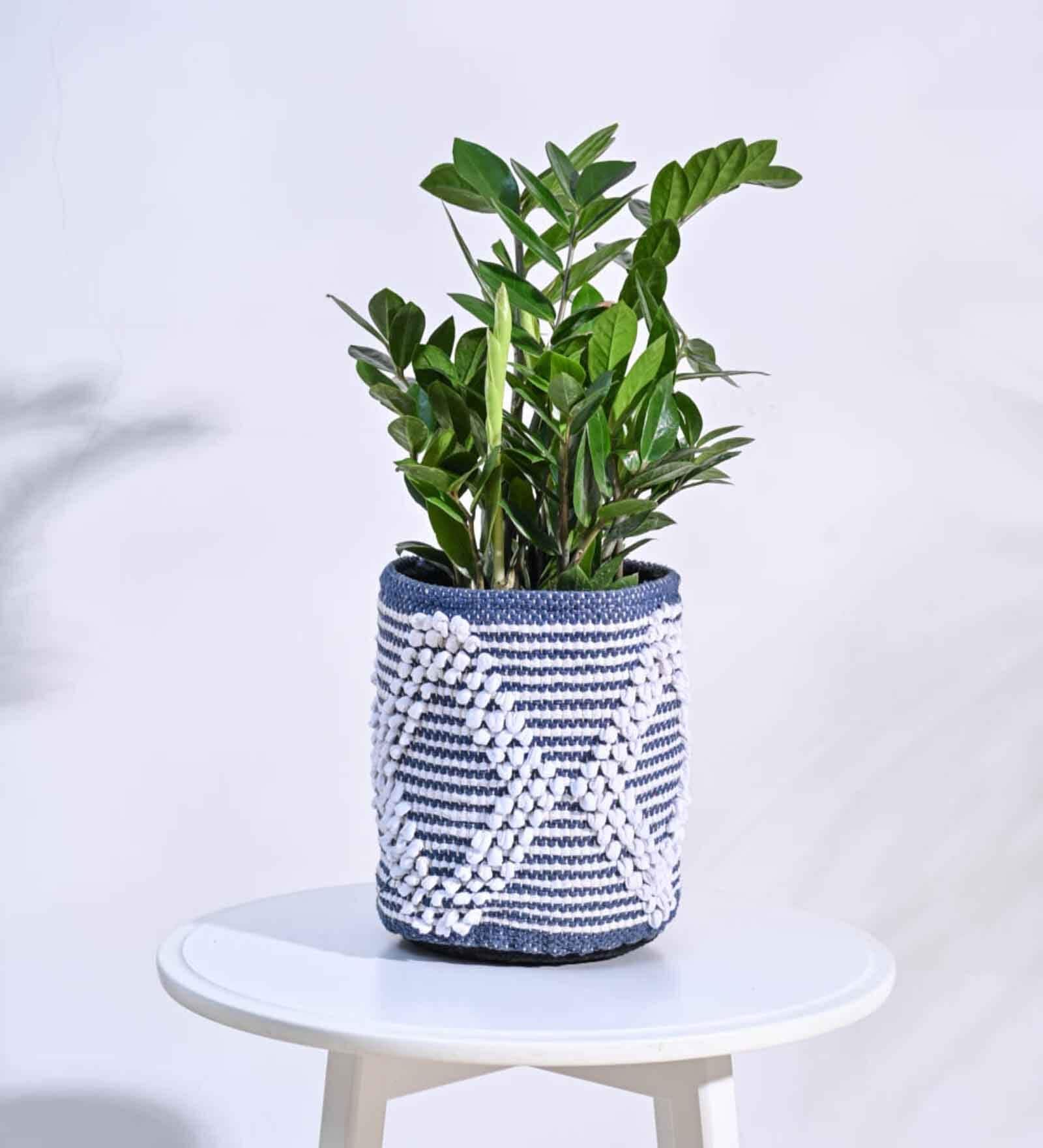 Trinket Blue Cotton Planter