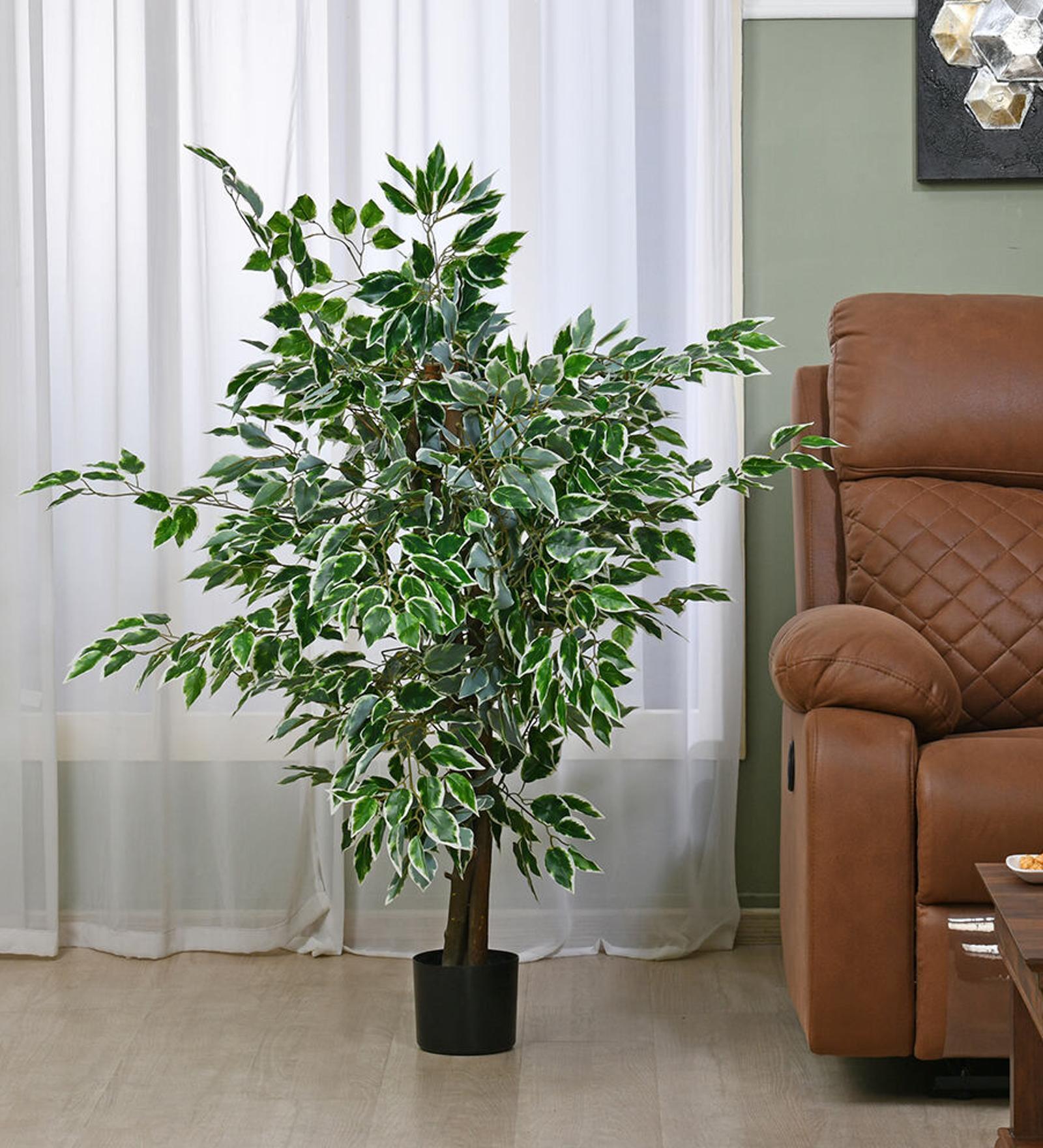 Buy Tropicana Banyan Green Plastic Artificial Tree Without Pot At 100% 