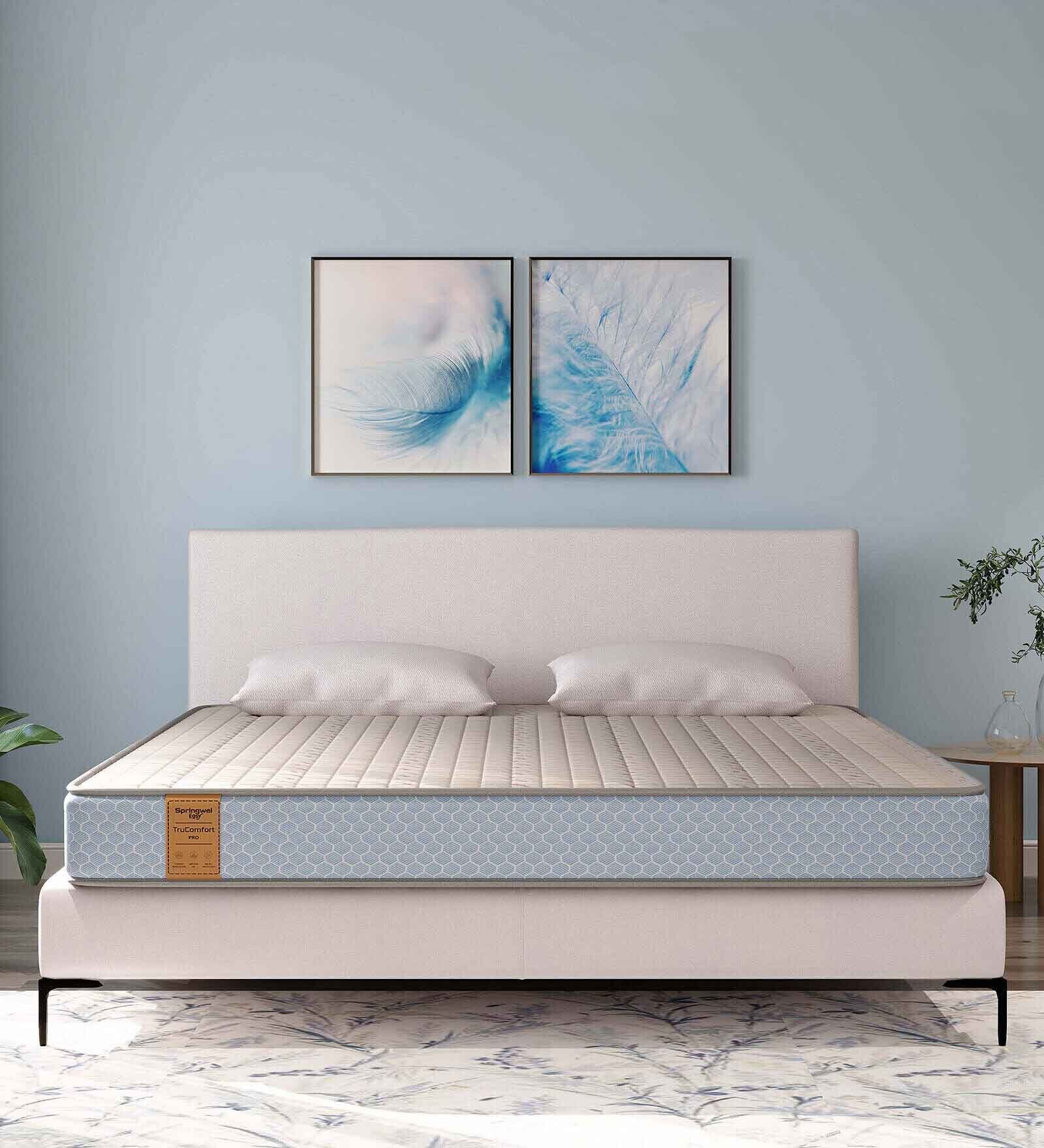 TruComfort Collection Pro 6 inches HR and Latex Foam Queen Size Mattress