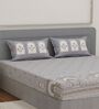 Grey Architectural 144 TC Cotton King Sized Bedsheet With 2 Pillow Covers