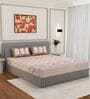 Beige Architectural 144 TC Cotton King Sized Bedsheet With 2 Pillow Covers
