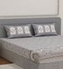 Grey Architectural 144 TC Cotton King Sized Bedsheet With 2 Pillow Covers