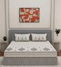 Red Medallion 144 TC Cotton King Sized Bedsheet With 2 Pillow Covers