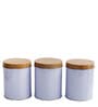 Tradition Vintage (Set of 3) White Metal Jar Container