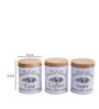 Tradition Vintage (Set of 3) White Metal Jar Container