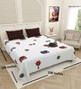 White Traditional print 144 TC Cotton King Size  Bedsheet With 2 Pillow Cover