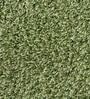 Green Shaggy Fiber 4 ft x 6 ft Machine Made Carpet