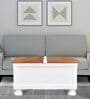 Tranquil Trunk With Box Storage in White Finish