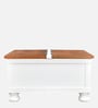 Tranquil Trunk With Box Storage in White Finish