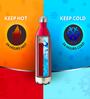 TRANS BOLT 500ml Vacuum Insulated Stainless Steel Water Bottle