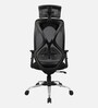 Transform Breathable Mesh Ergonomic Chairs In Black Colour