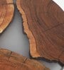 Translucent Grey Wood Handcrafted Cheese Board