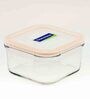 Transparent  490 ml Square Glass Airtight Break Resistant Food Storage Container