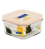 Transparent  490 ml Square Glass Airtight Break Resistant Food Storage Container