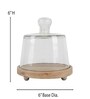 Transparent Acacia Wood Cloche