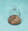 Transparent Acacia Wood Cloche