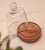 Transparent Acacia Wood Cloche