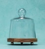 Transparent Acacia Wood Cloche