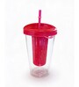 Transparent Acrylic Frootie Infuser Sipper Tumbler with Straw, 600 ml