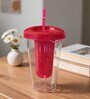 Transparent Acrylic Frootie Infuser Sipper Tumbler with Straw, 600 ml