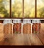 Transparent Plastic (Set of 4) Steelo Homely Containers 750ML