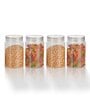 Transparent Plastic (Set of 4) Steelo Homely Containers 750ML