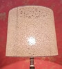 Transparent Lampshade